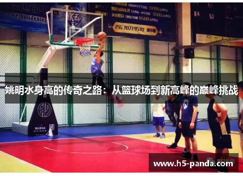 姚明水身高的传奇之路：从篮球场到新高峰的巅峰挑战