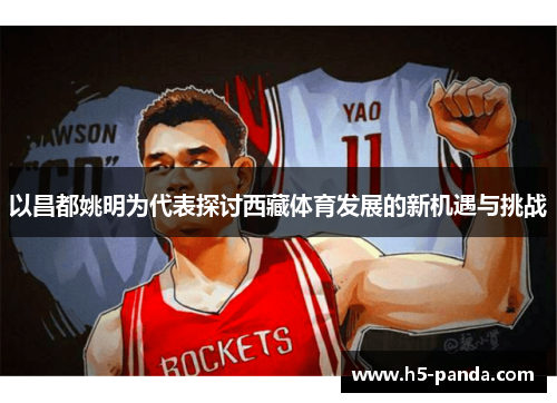 以昌都姚明为代表探讨西藏体育发展的新机遇与挑战
