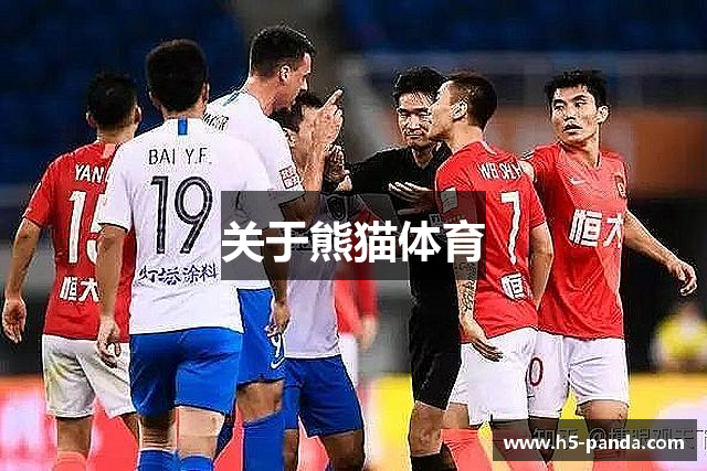 关于熊猫体育